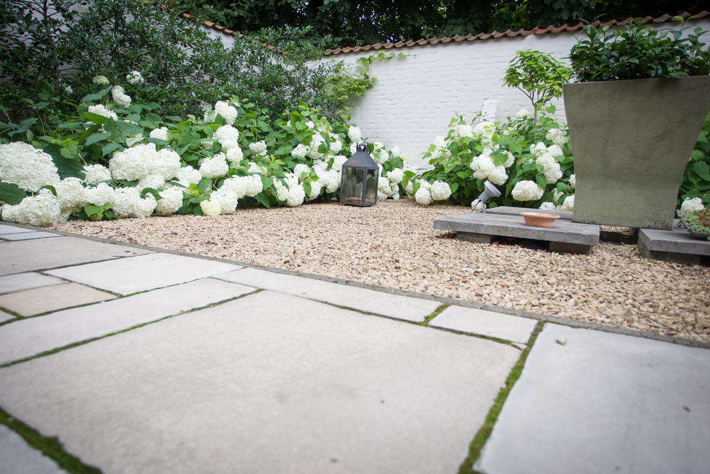 Bed and Breakfast Logies Amelias Brujas Exterior foto
