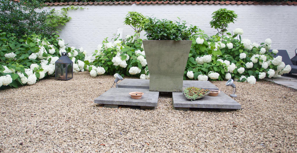 Bed and Breakfast Logies Amelias Brujas Exterior foto